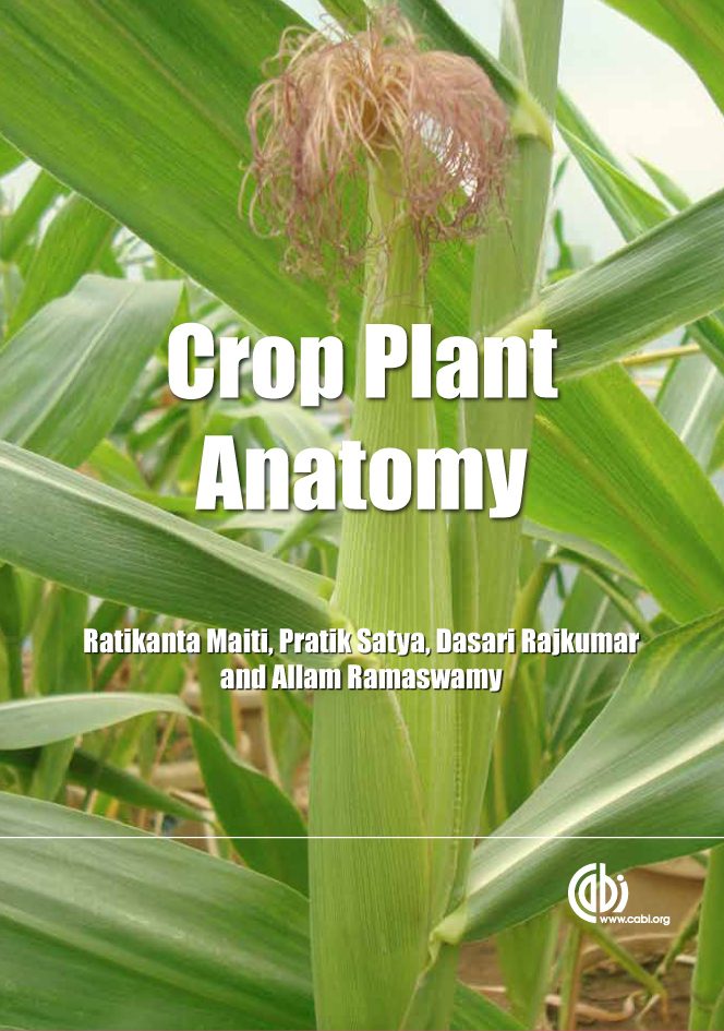 Crop Plant Anatomy Cabi Org