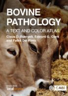 Bovine Pathology