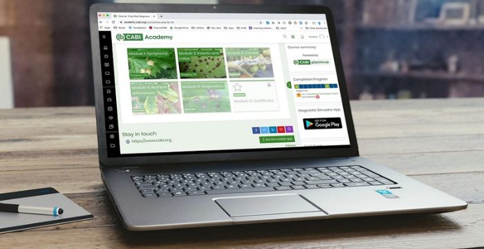 cabi academy 700x360 Laptop with CABI Academy open on it.
