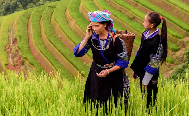 CABI Books woman and daughter in paddy fields