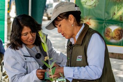 Extension worker in Peru providing advice to a female farmer