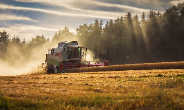 Combine harvester