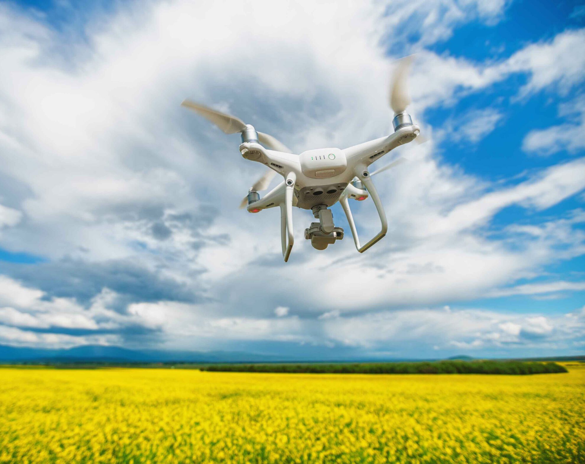 Flying drone quadcopter over the rapeseed field