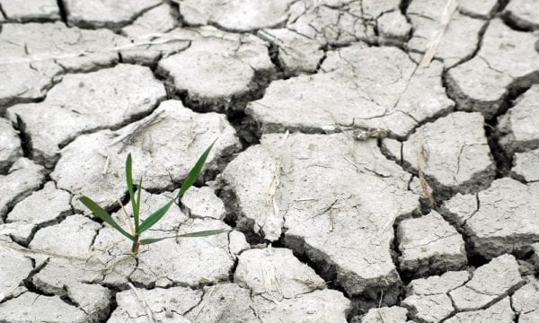 Climate change drought