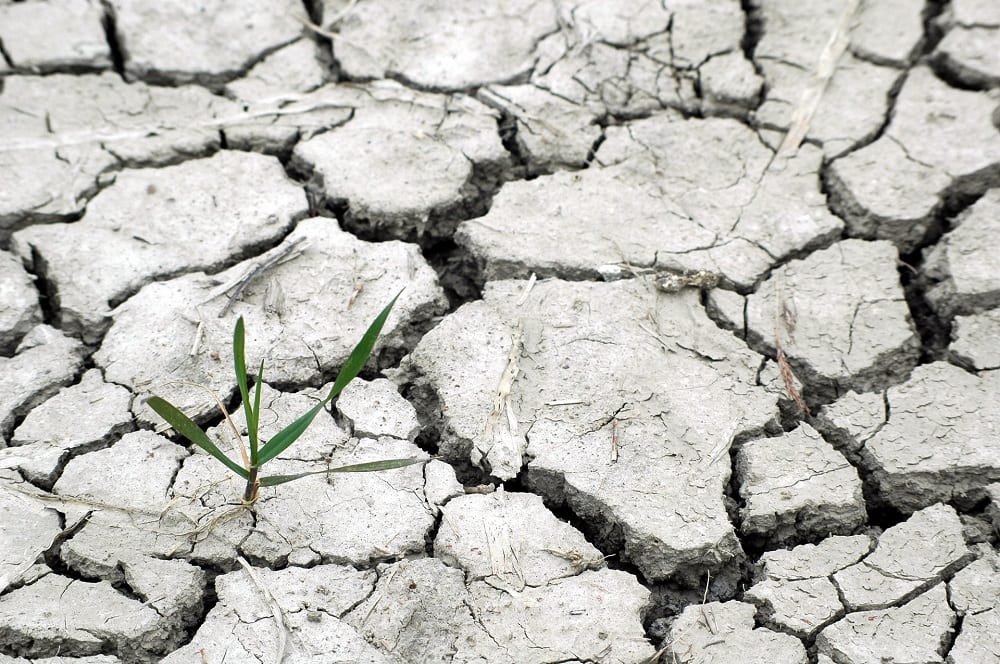 Climate change drought