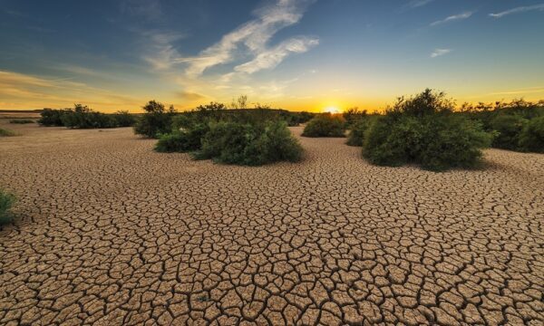 drought-1675729_1280
