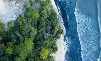 Beach scene with blue sea