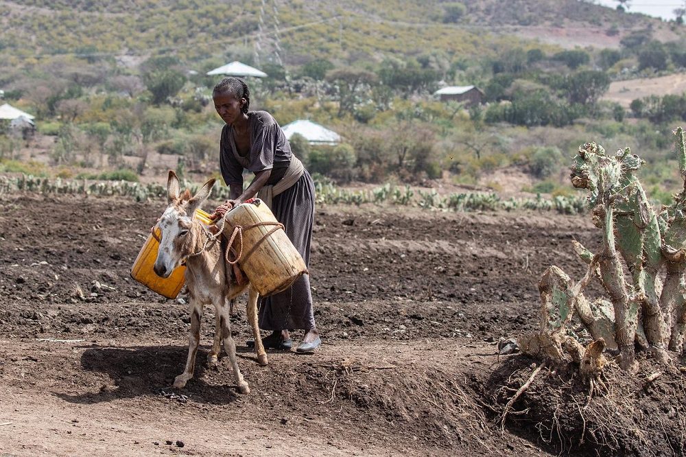 thiopia-gc224908fe_1280