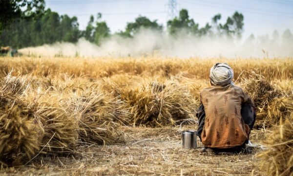 farmer-gee336f128_1280