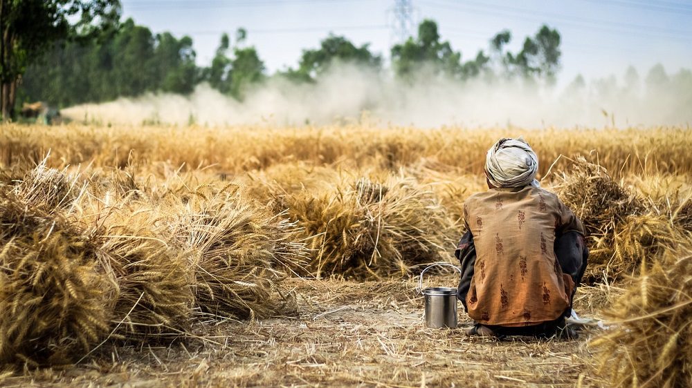farmer-gee336f128_1280