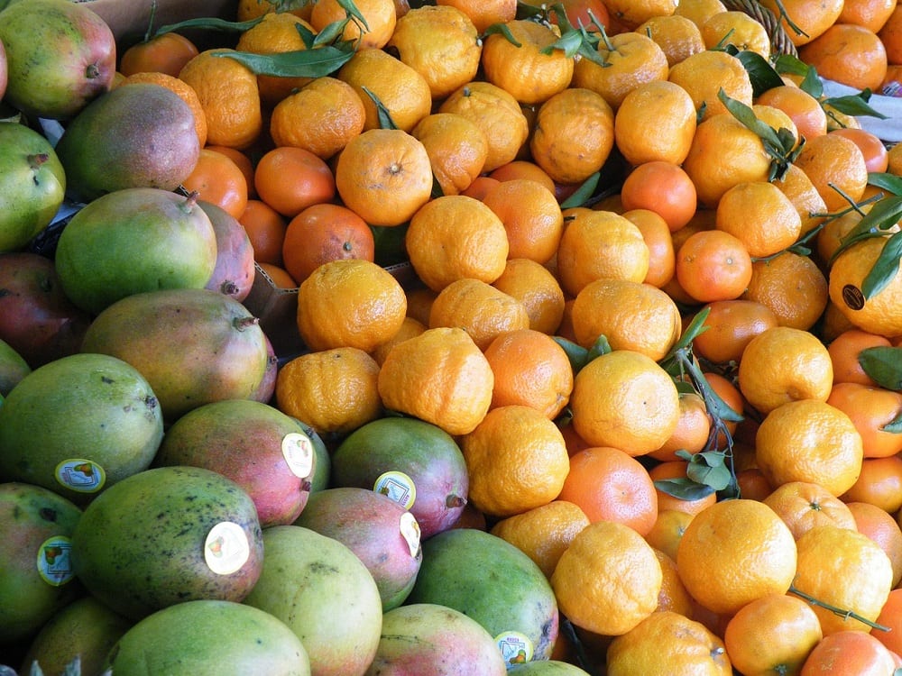 Fruit
