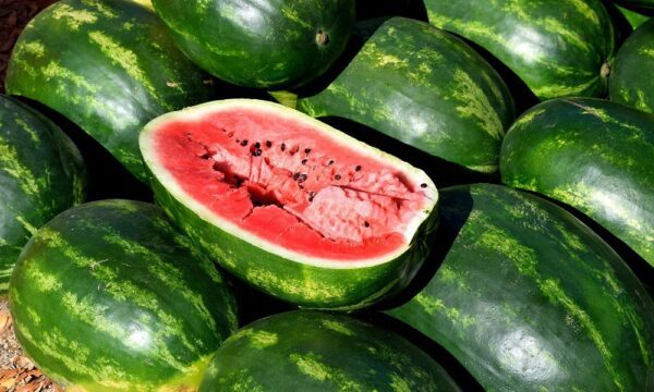 Watermelons