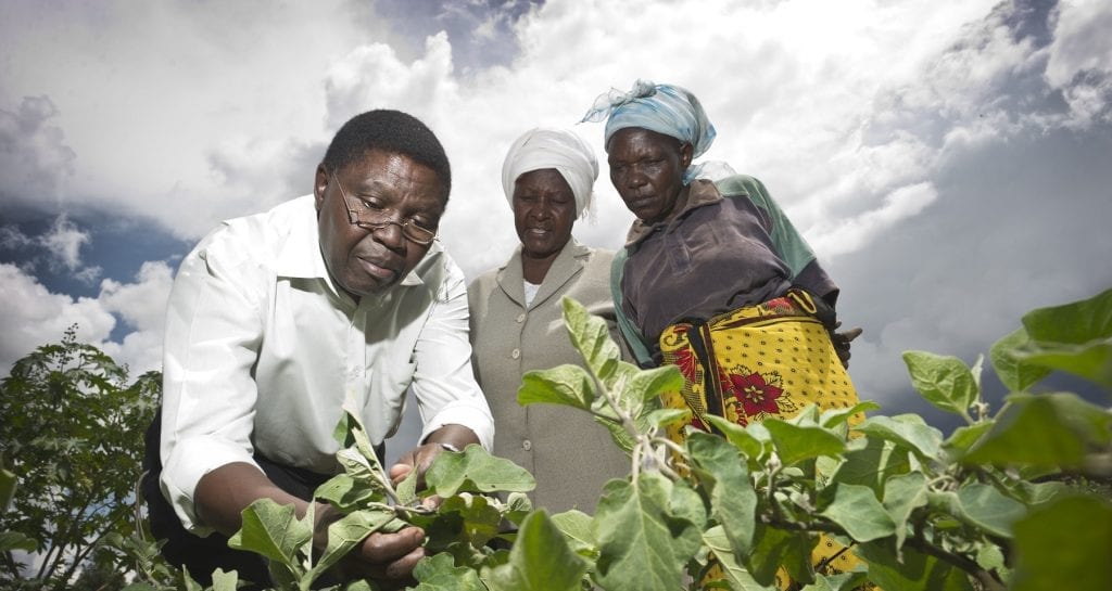Plantwise plant doctor helping female farmers in Kenya