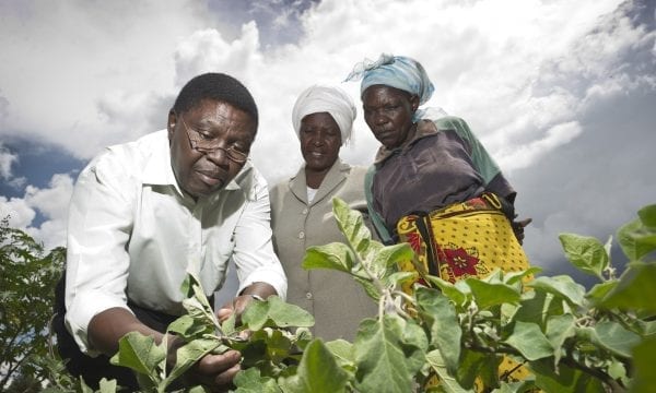 Plantwise plant doctor helping female farmers in Kenya