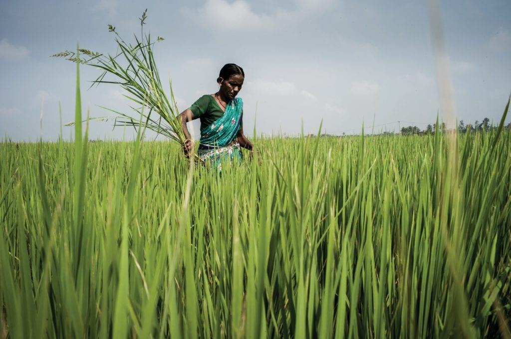 Lady in field of long grass