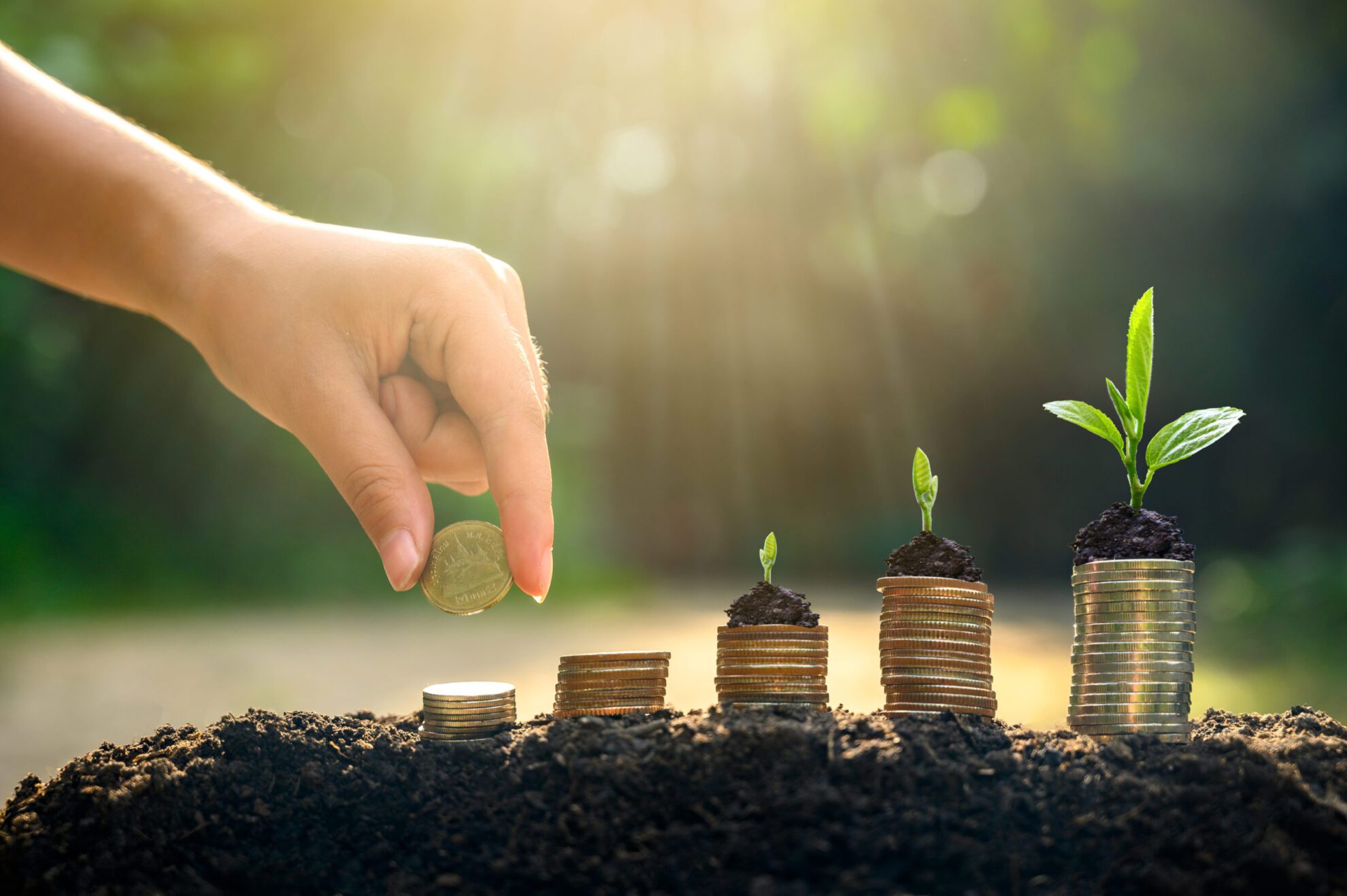 Money growth Saving money. Upper tree coins to shown concept of growing business Money growth Saving money. Upper tree coins to shown concept of growing business