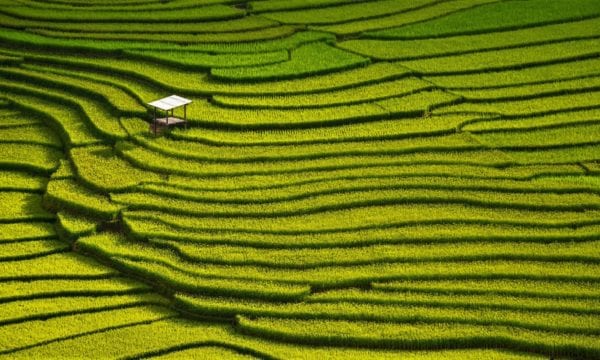 beautiful landscape view of rice terraces and hous
