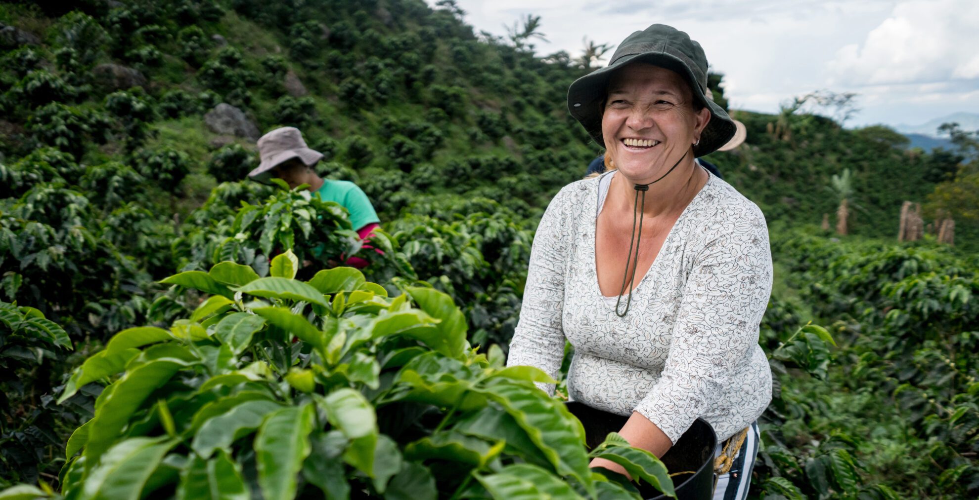Very happy woman working at Colombian coffee farm collecting beans and smiling