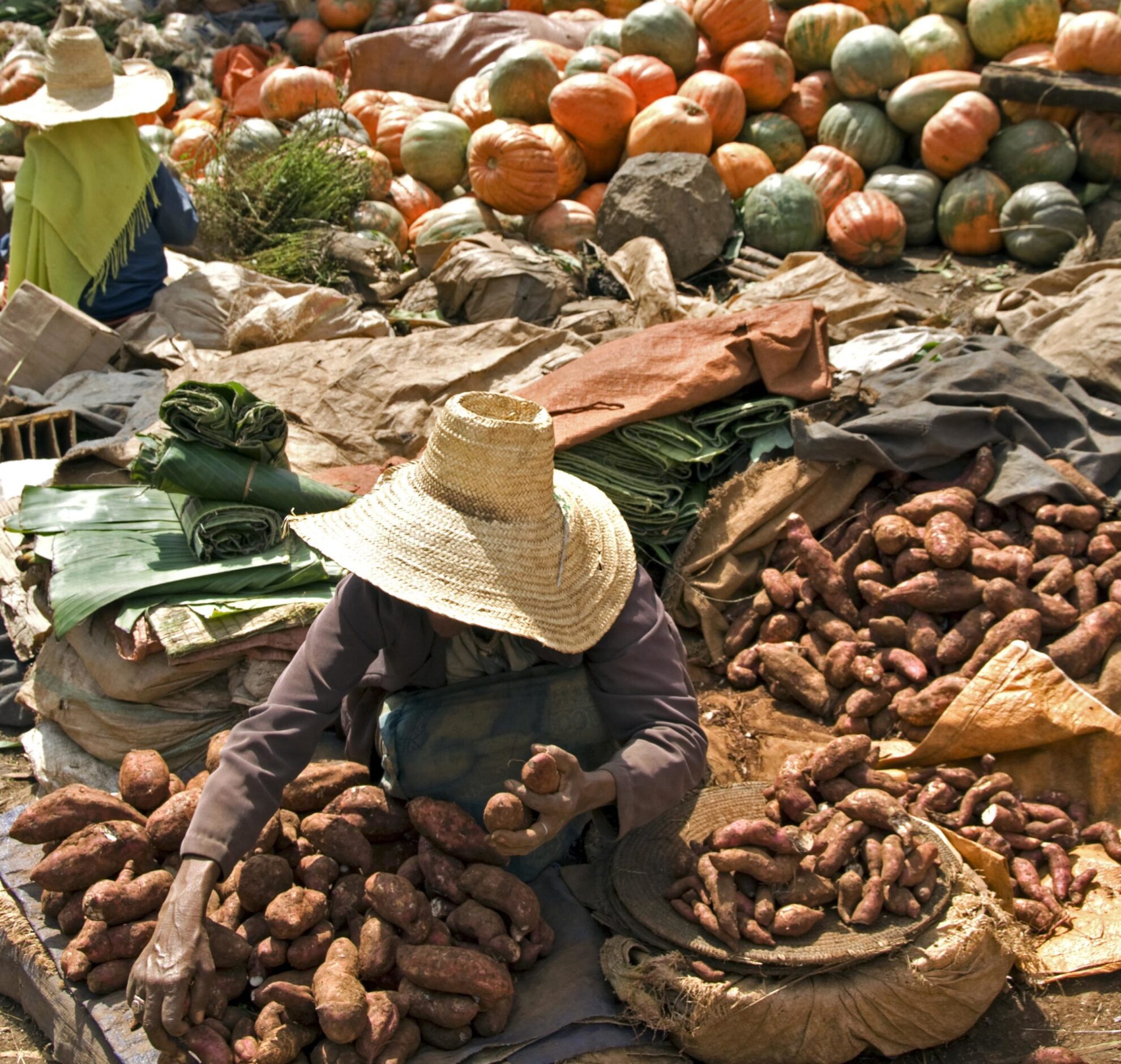 Food security, nutrition and planetary health