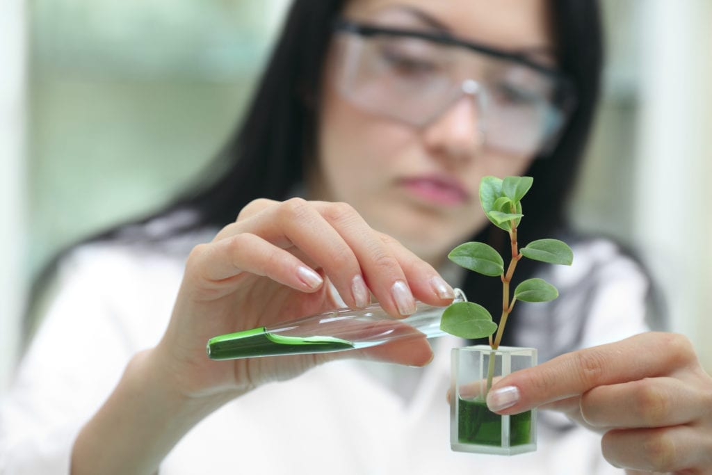 Female scientist with plant