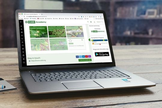 CABI Academy laptop