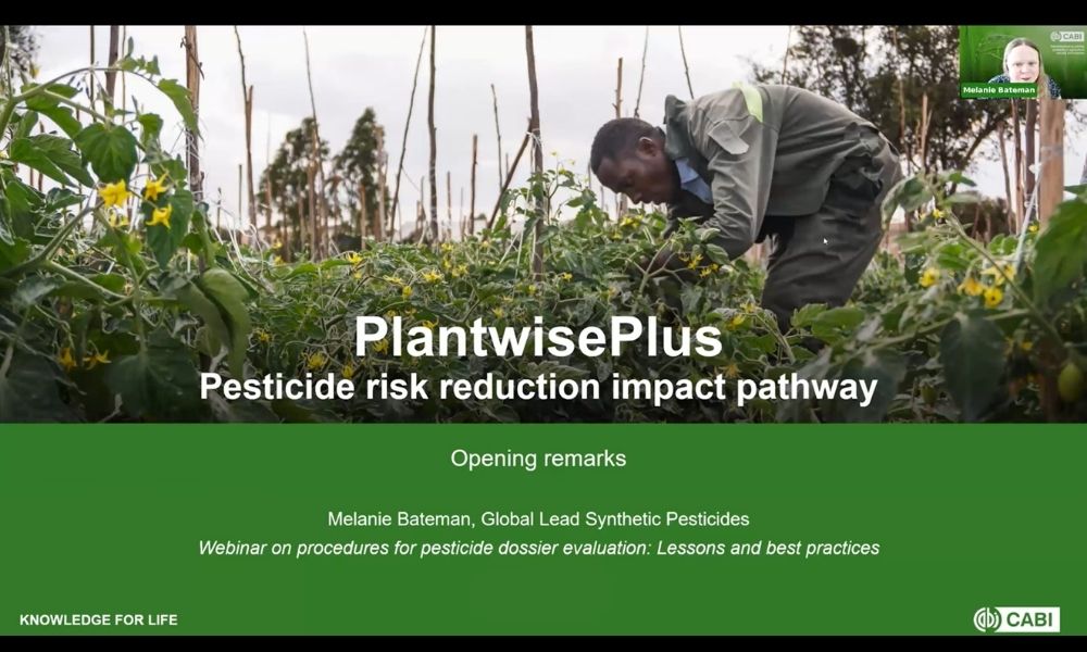 A PPT title screen with the words PlantwisePlus Pesticide Risk Reduction impact pathway