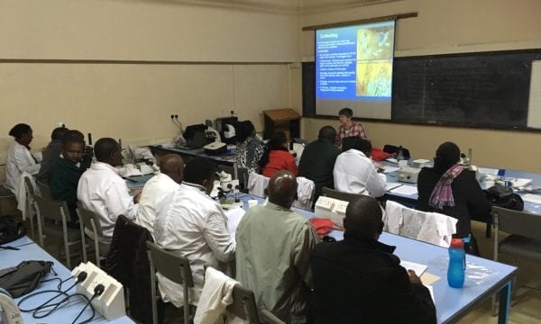 Training session with taxonomists on scale insect collection