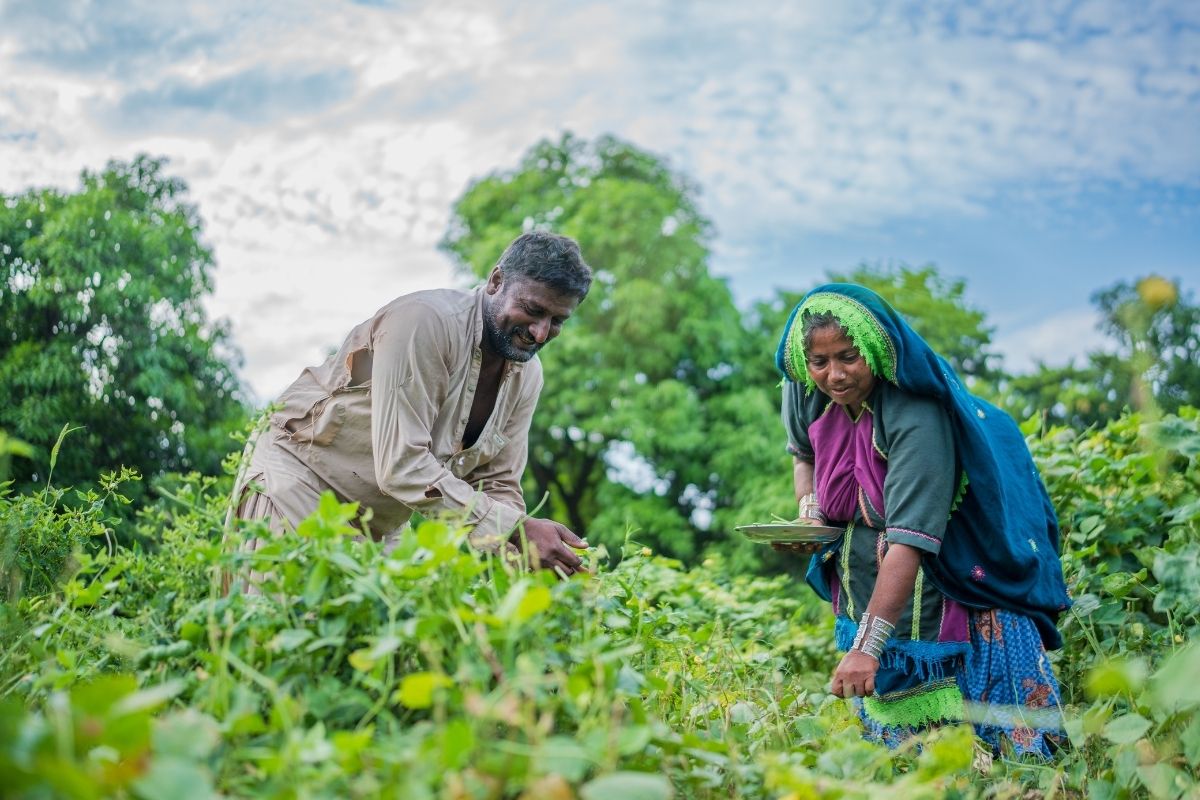 Farmers working in a field together