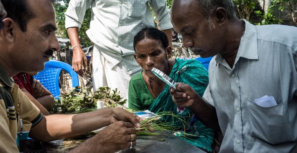 sfa600_309 plant doctors at a plant clinic in India