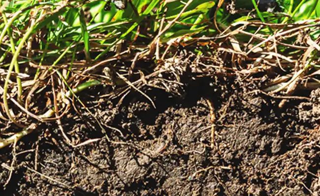 Soil Science Cases