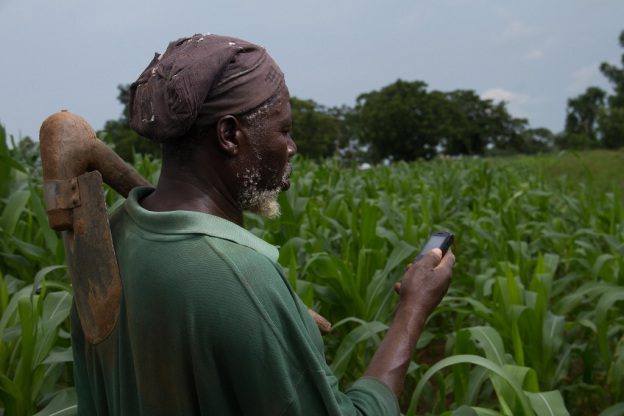 Conservation, restoration and sustainability